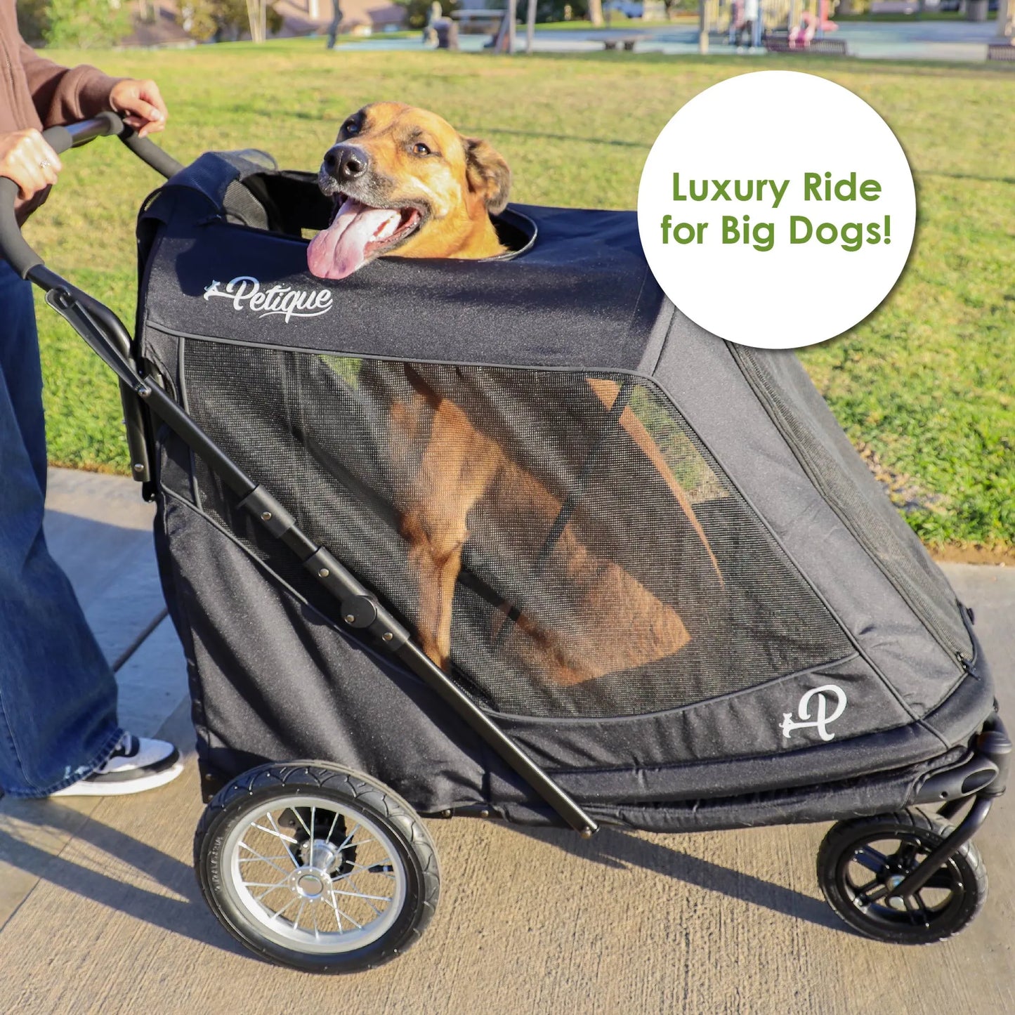 Apollo Elite Pet Stroller w/ Tire Pump
