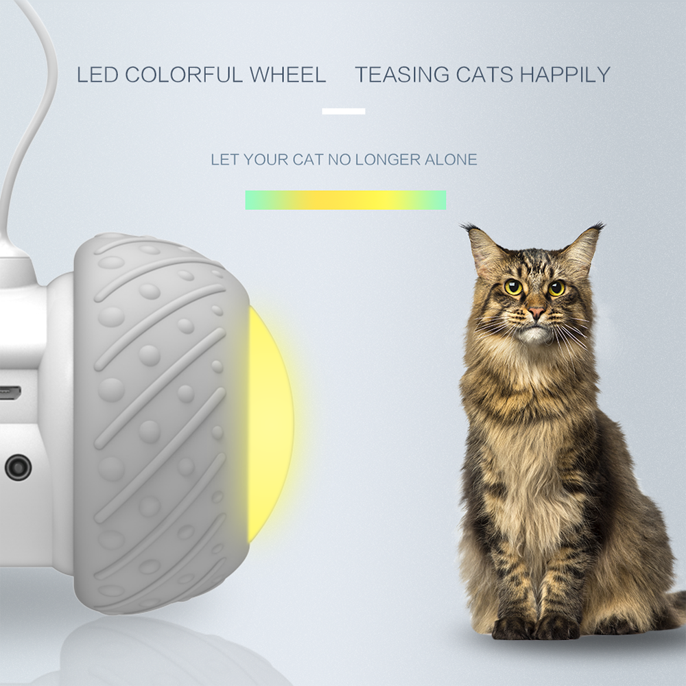 Feather Decorated Interactive Cat Toy