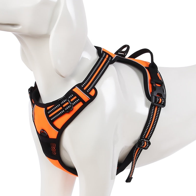 Dog's Reflective Nylon Harness